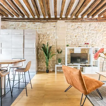 Apartment Coeur De Voltaire - Loft Cosy Parisien Paris